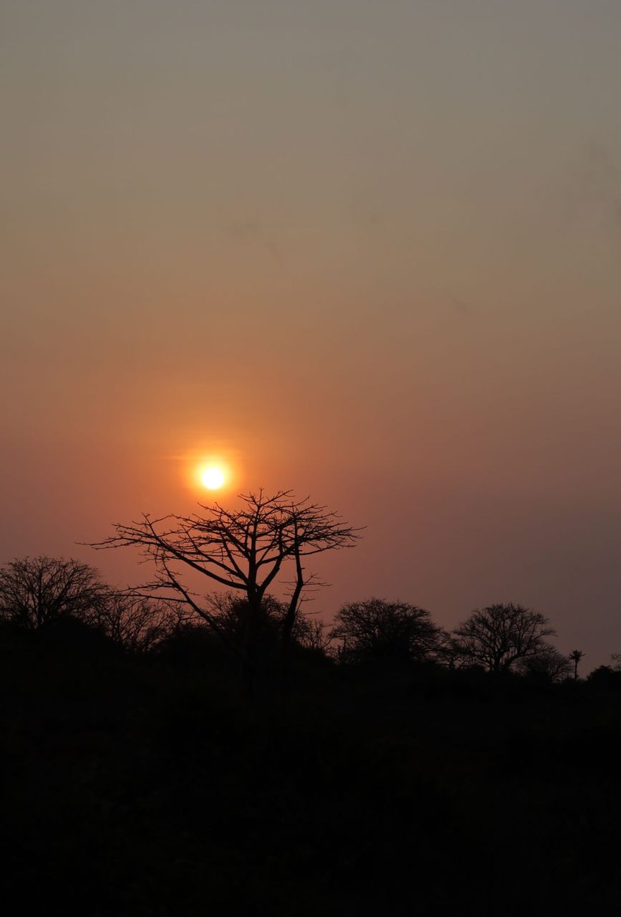 Madagascar at dusk